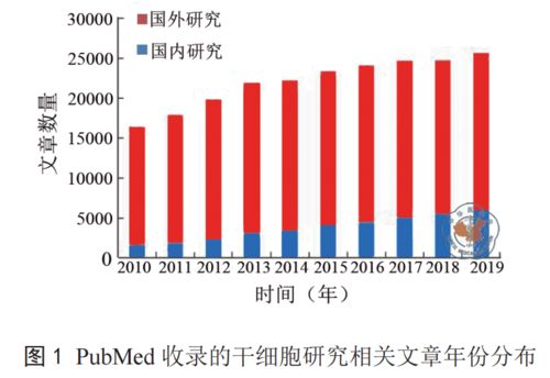 我国干细胞政策大全 鼓励与支持干细胞研究